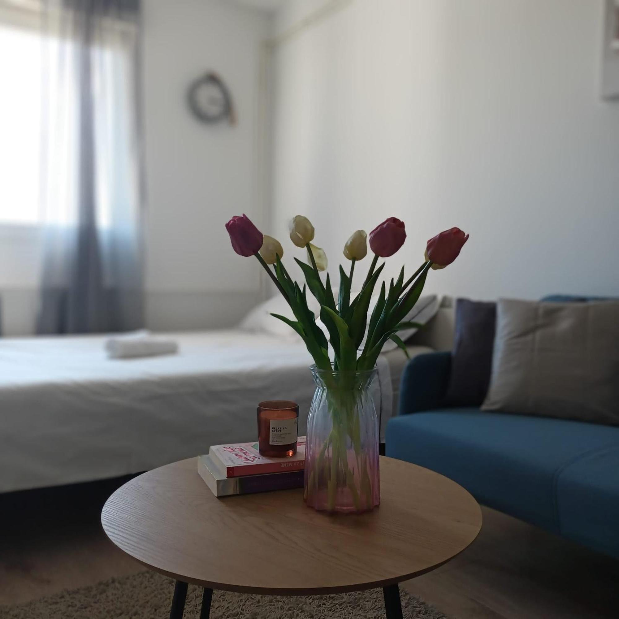 Modern Studio Near City Center Zagreb Exterior foto
